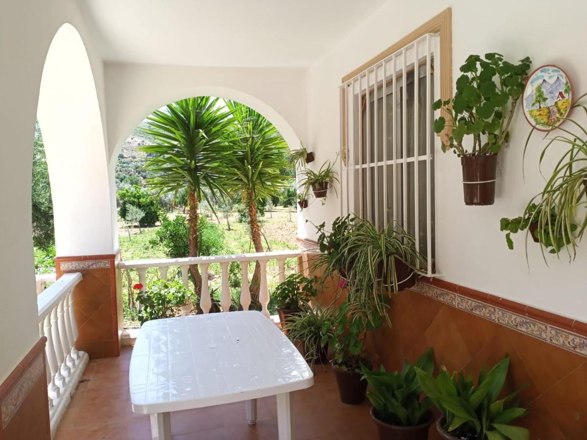 אולברה Casa Las Vicarias מראה חיצוני תמונה